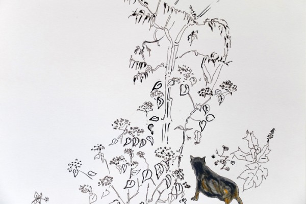 cover image - Lessons or metaphores of a garden